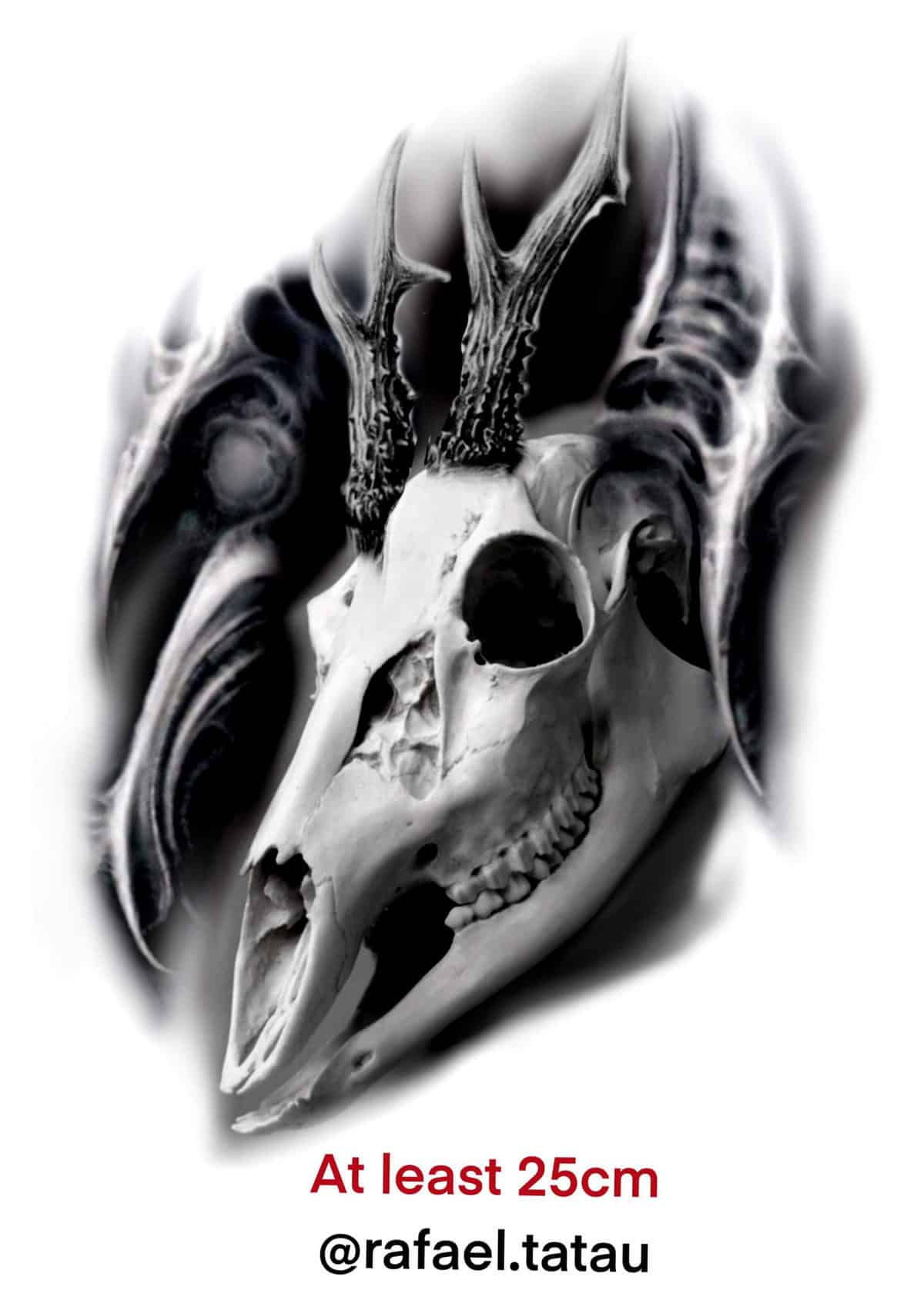 Realism Flash Tattoo Design Sheets - Design 76