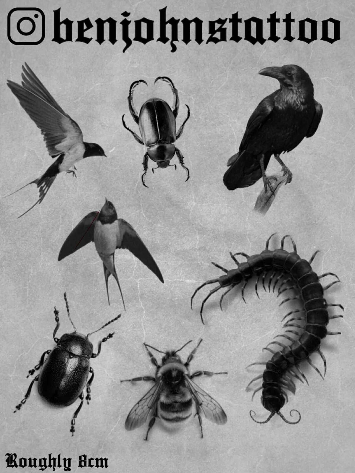 Neo Traditional Flash Tattoo Design Sheets - Design 22