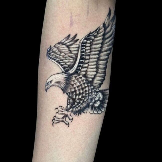 Nicolas Tattoo Artist Animal Realism Eagle Forearm Tattoo brisbane traditional tattoo