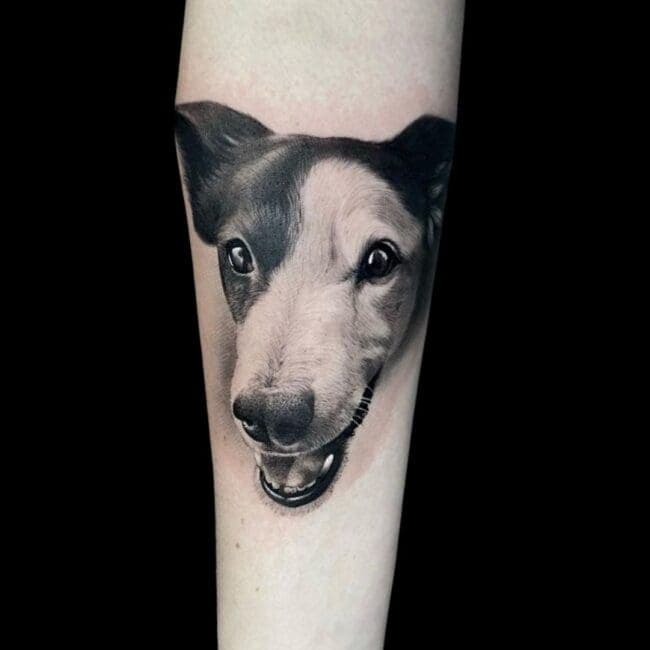 Penno Tattoo Artist Animal Realism Black And Grey Pet Portrait Dog Forearm Tattoo